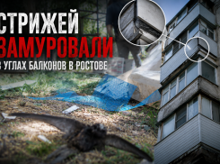 Строители замуровали живых стрижей в углах балконов в Ростове