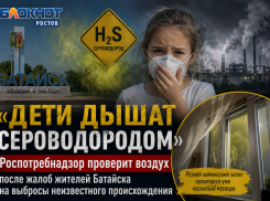 «Дети дышат сероводородом» – Роспотребнадзор проверит воздух после жалоб жителей Батайска на выбросы неизвестного происхождения