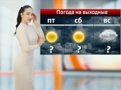 На выходных в Ростове ожидается резкое потепление и мокрый снег