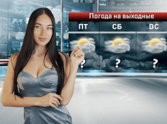 На выходные в Ростовской области установится 30-градусная жара