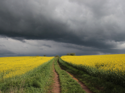 В субботу в Ростове будет прохладно и дождливо