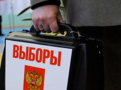 В организации выборов президента 2018 года в Ростовской области будут задействованы 50 тысяч человек 