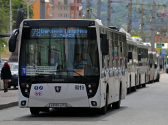 Транспортники Ростова назвали причину нехватки автобусов 