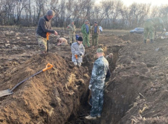 Поисковики нашли останки 10 красноармейцев во время экспедиции в Ростовской области