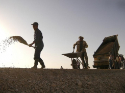 Строительство западной хорды Ростовского транспортного кольца могут начать уже в 2022 году