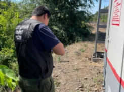 В Ростовской области силовики предотвратили теракт на железной дороге