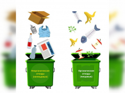 Все, что нужно знать о раздельном сборе: регоператор ГК «Чистый город» отвечает на вопросы