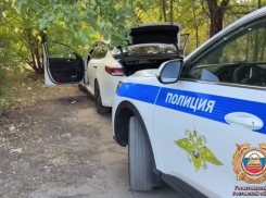 Наркодилер укусил инспектора ДПС и лишился наркотиков при задержании в Ростовской области