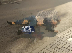 В Ростове под окнами многоэтажки на Западном нашли труп парня