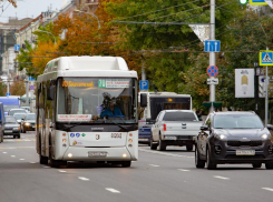 В Ростове утвердили стандарты транспортного обслуживания