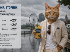 Дождь может накрыть Ростов в дневное время