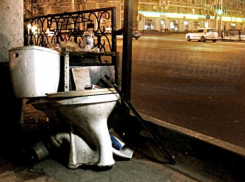 Унитазный перфоманс назвали символом свинского отношения жителей Ростова к своему городу