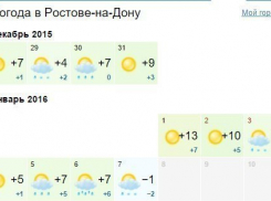 Весенняя погода ждет ростовчан на новогодние праздники