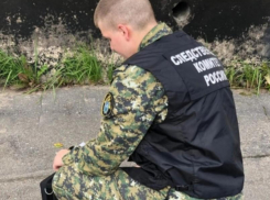 В Ростовской области ранее судимый мужчина убил родственников своей сожительницы 
