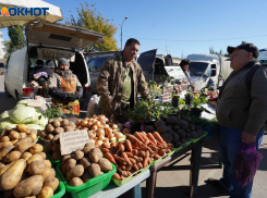 Помидоры и огурцы подорожают на 50% к Новому году в Ростовской области