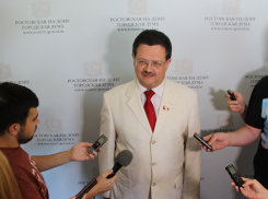 Депутат гордумы Ростова зарабатывает скромные 1400 рублей в день