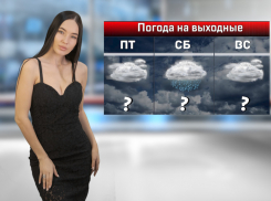 На выходных в Ростове-на-Дону ожидается дождь и сильный ветер