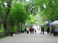 В Ростовских парках появится больше камер видеонаблюдения