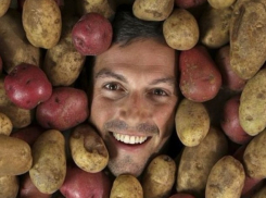 Пресловутую картошку едят жители Ростова каждый день
