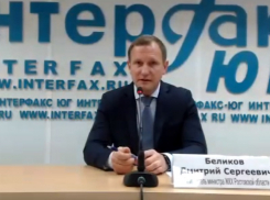 В Ростове выбрали проекты благоустройства парков «Дружба» и Горького