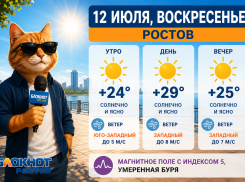 Жару до +29 прогнозируют синоптики в Ростове 12 июля