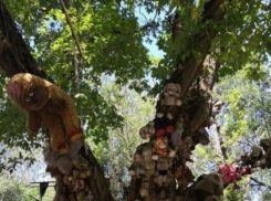 Писаться в штаны от страха заставляет жуткое «кладбище игрушек» больших и маленьких ростовчан