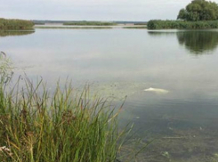 ﻿Обезображенное тело пенсионерки обнаружили в озере в Ростовской области