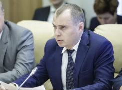 Администрацию Ростова обвинили в даче пустых обещаний о парке «Вересаево»