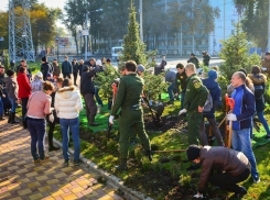 Большие средства из федерального бюджета выделены на благоустройство городов Ростовской области