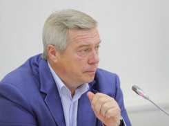 Василий Голубев поставил задачу возобновить плановую медпомощь в Ростовской области 