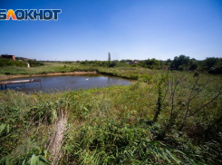 В Ростовской области на защиту окружающей среды направят 1,2 млрд рублей