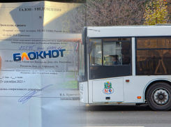 «Вершитель судеб» избил в ростовском автобусе парня-инвалида