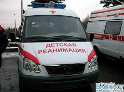 В Ростовской области брат и сестра отравились, съев ядовитое растение   