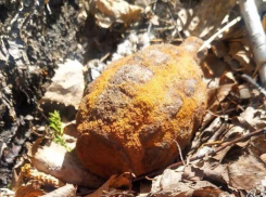 В Ростовской области задержали мужчину, который подорвал боевой гранатой знакомого