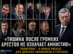 «Тишина после громких арестов не означает амнистию»: политолог - о новых рисках для донских чиновников и Голубева