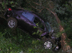 Два человека погибли и еще трое получили травмы в жутком ДТП с деревом на трассе под Ростовом