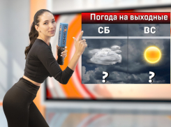 В День города в Ростове пойдет ливень и похолодает до +13 градусов