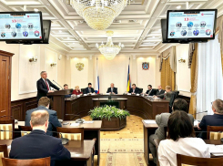 В Ростовской области еще два новых инвестпроекта включили в «губернаторскую сотню»