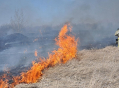 За сутки в Ростовской области зафиксировали 27 ландшафтных пожаров