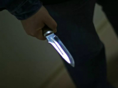 Фатальный удар ножом в живот своему приятелю нанес обиженный мужчина в Ростовской области