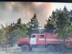 Площадь лесного пожара в Ростовской области достигла 190 гектаров