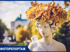Пока не засыпало снегом и не смыло дождем: любуемся золотой осенью в Ростове