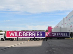 Власти Ростовской области без торгов отдали Wildberries 31 гектар земли