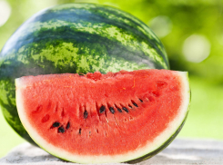 В Ростовской области ждут неурожай арбузов из-за ливней и холодов