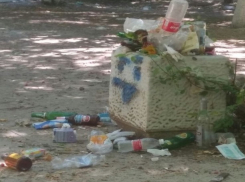 Детскую площадку в Ростове очищают от мусора только перед выборами