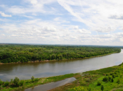 Охрана природы Ростовской области обойдется в 3,8 млрд рублей