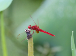 Во вторник в Ростове похолодает