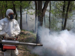 Места отдыха в Ростове начали обрабатывать от клещей