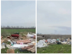 В Суворовском начали ликвидировать незаконную свалку 
