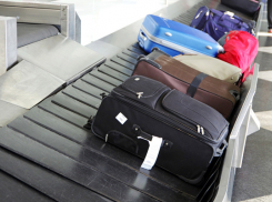 Больше тысячи чемоданов вернули туристам из Египта в ростовском аэропорту